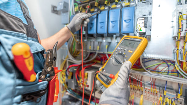 Best Electric Panel Repair  in Millsboro, DE